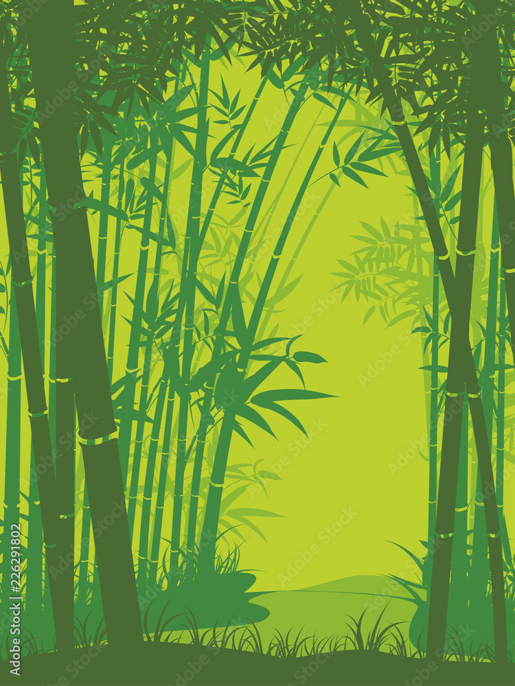 Naklejka premium Scena lasu bambusowego