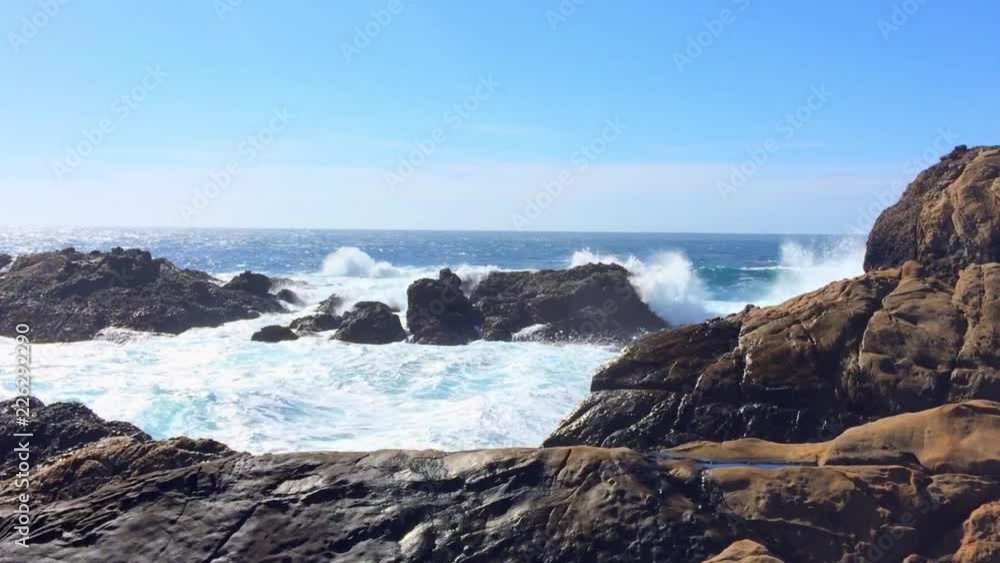 The Pacific Ocean at the Point Lobos State Natural Reserve, California, United States. The Point Lobos protected areas provide shelter to a wide range of fish, invertebrates, birds, and marine mammals The Pacific Ocean at the Point Lobos State Natural Reserve, California, United States. The Point Lobos protected areas provide shelter to a wide range of fish, invertebrates, birds, and marine mammals
