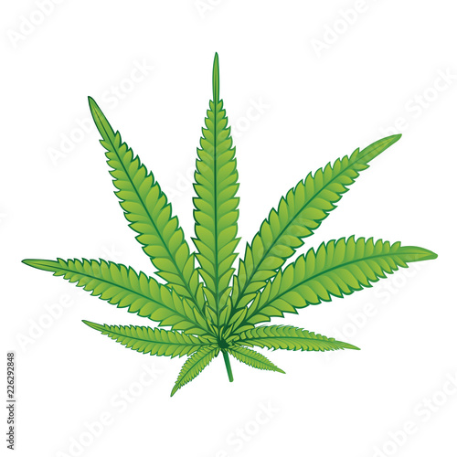 Marijuana colorful leaf