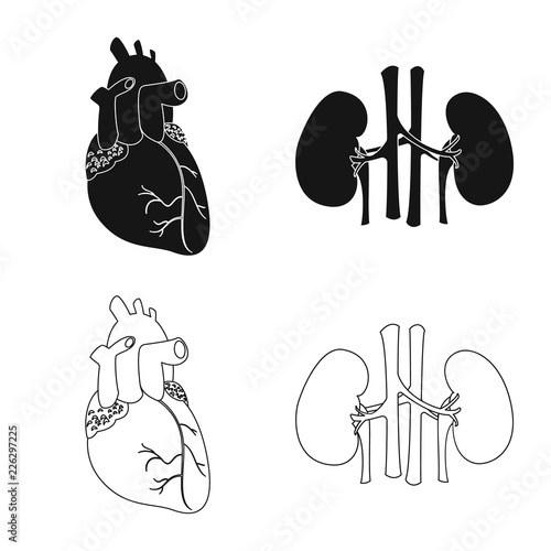 Vector design of body and human icon. Set of body and medical stock symbol for web.