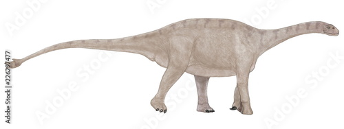 シュノサウルス。中国の昔の蜀の国があった付近にあるジュラ紀中期の地層から発見された。竜脚類としては最大でも12メートルと大きい方ではない。首も頭部も胴体も比較的コンパクトで尾も、さほど長くない。無防備ではなく、その尾の先端には骨が凝固して固まった部分があり、その骨に2対の棘が生えていることから、外敵から身を守るためにこの尾を振り回していたと思われる。シュノとは蜀という三国時代の国名を指す。イラスト
