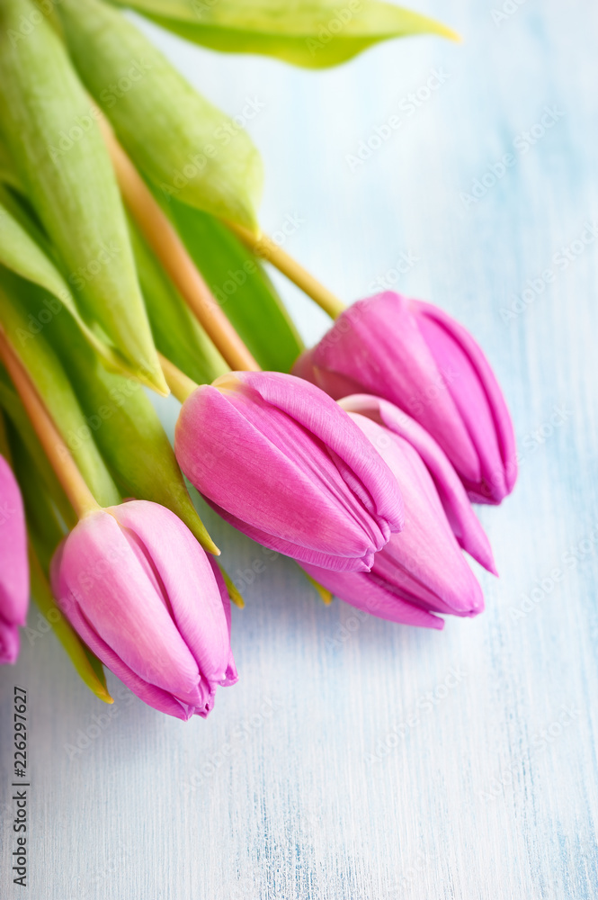 Pink Tulips. Flower background. Wooden background. Close up. 