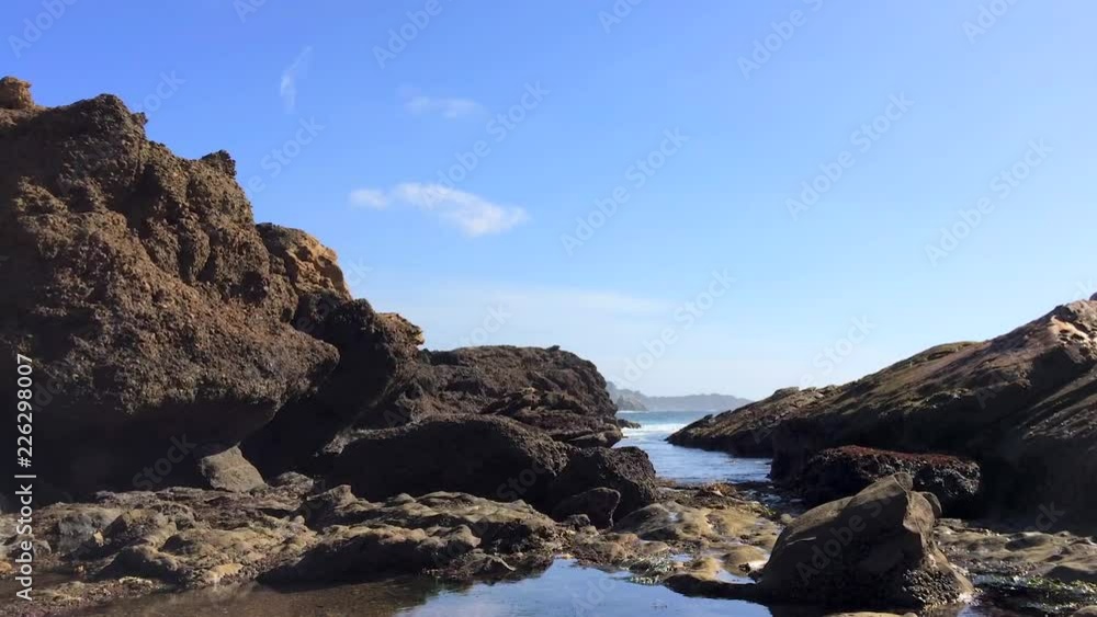 The Pacific Ocean at the Point Lobos State Natural Reserve, California, United States. The Point Lobos protected areas provide shelter to a wide range of fish, invertebrates, birds, and marine mammals The Pacific Ocean at the Point Lobos State Natural Reserve, California, United States. The Point Lobos protected areas provide shelter to a wide range of fish, invertebrates, birds, and marine mammals