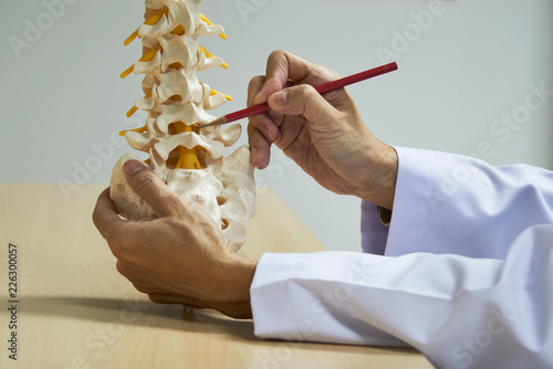 Canvas-taulu A neurosurgeon demonstrating  lumbar spine model anatomy