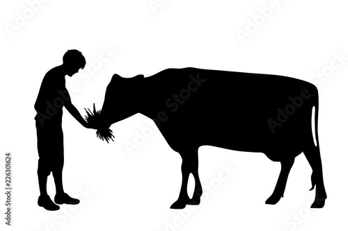 Vector silhouette of man with cow white background.