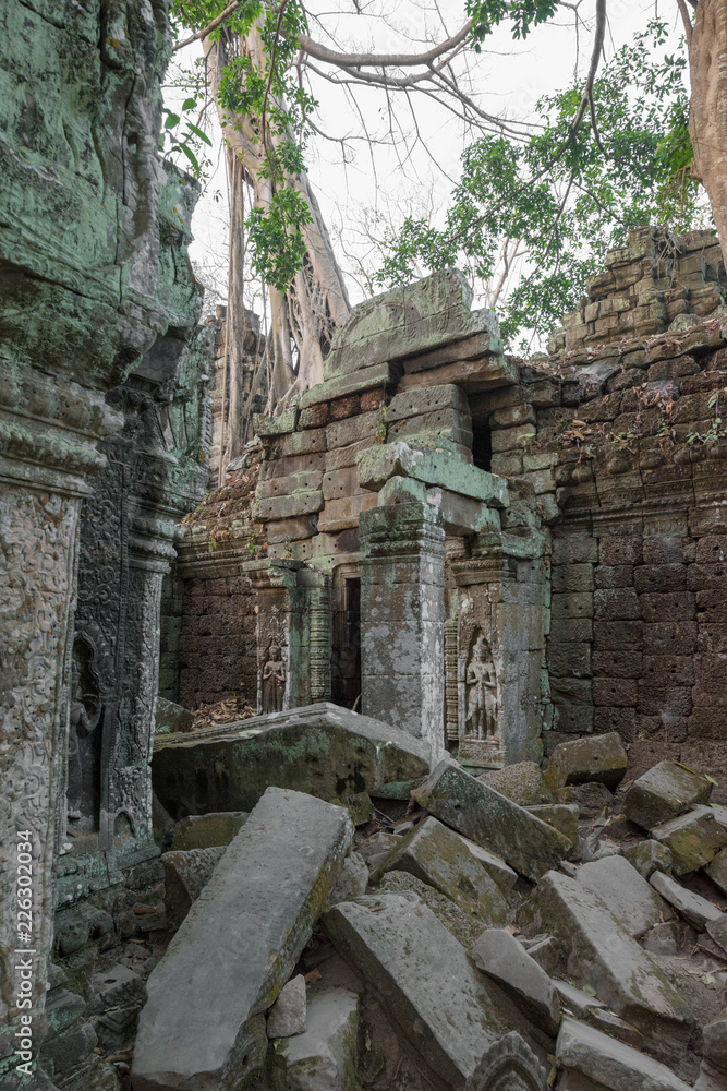 Tempel in Ta Prohm mit Wurzeln 
