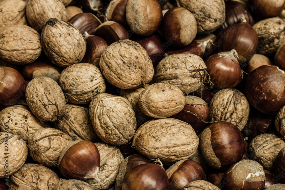nueces y castañas nueces y castañas