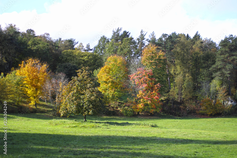 autumn in the park autumn in the park