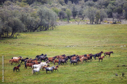 Wallpaper Mural The plateau is misty and idyllic Torontodigital.ca