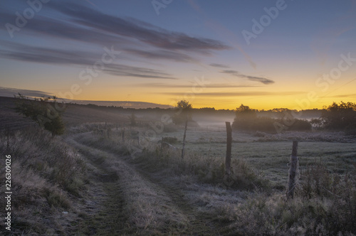 Fototapeta Naklejka Na Ścianę i Meble -  country road among fields and meadows. landscape picture resembling Italian Tuscany. Autumn-Poland,