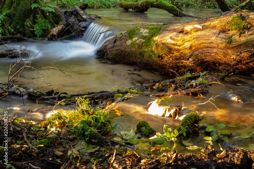 cascades and mini waterfalls on a small forest stream. The stream is created on the springs at the lake or in the Drawsko Lakeland photo