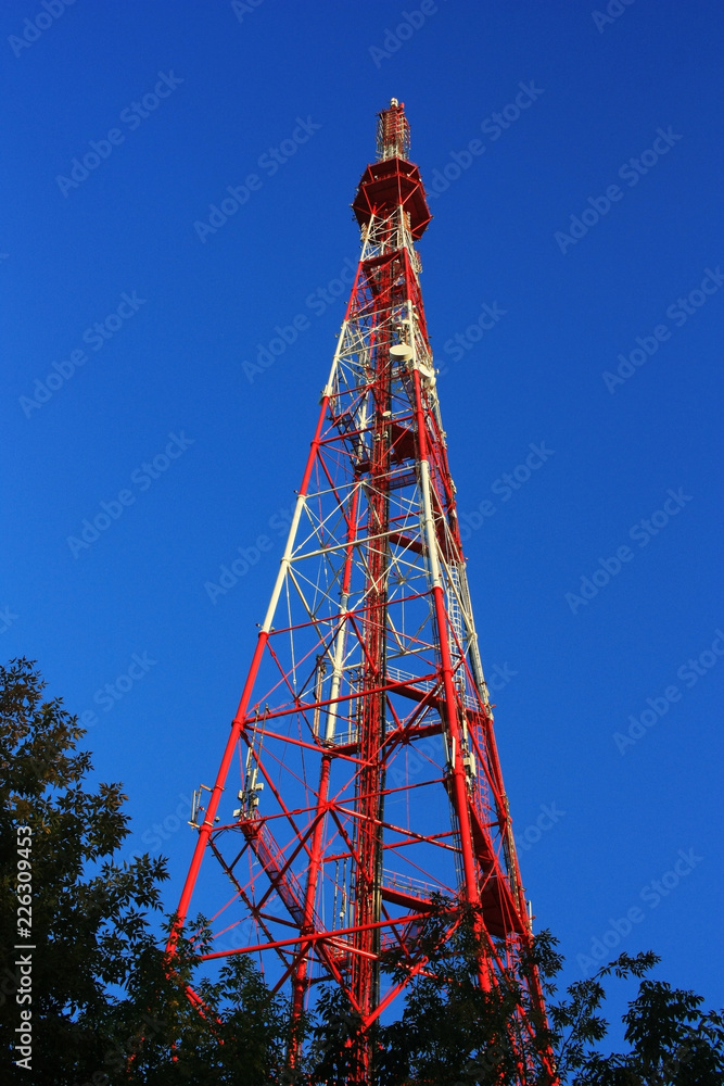 TV tower in the park TV tower in the park