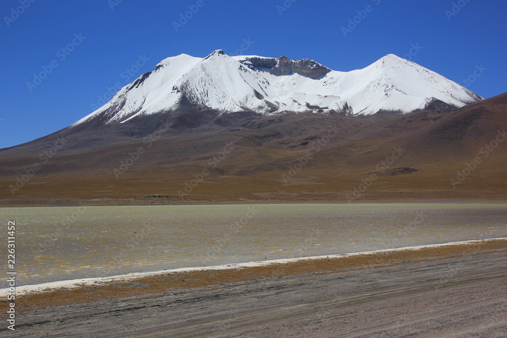 Fototapeta premium Bolovia Uyuni