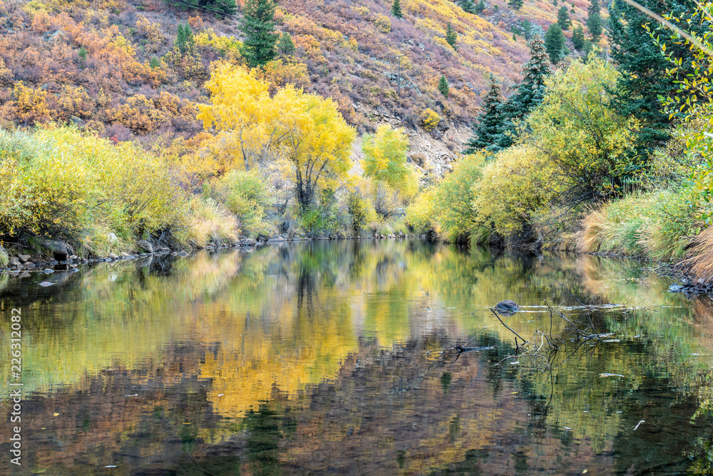 Fall color and reflection on the Roaring River, Aspen, Colorado Fall color and reflection on the Roaring River, Aspen, Colorado