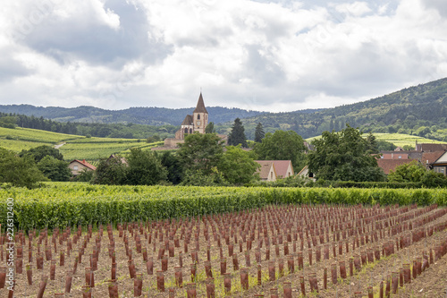Hunawihr. Les vignobles et le village. Haut-Rhin. Alsace