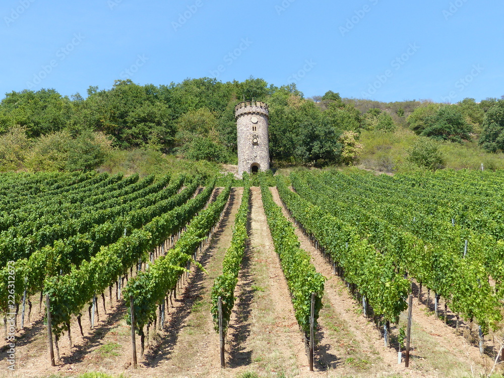 Ajax-Turm in Siefersheim / Rheinhessen