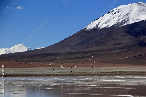 Bolovia Uyuni © Dominic