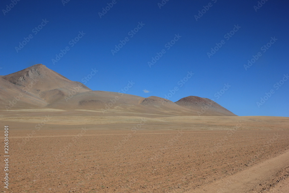 Bolovia Uyuni