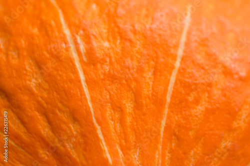 Pumpkin macro background. Orange vegetable background texture