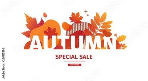 Horizontal abstract geometric design for autumn promotion. Fall offer banner with vector liquid form and decor maple leaf on background. Orange template graphic elements with fluid dynamic shape