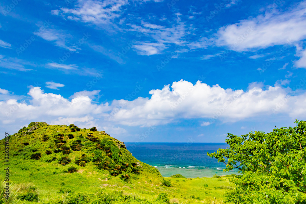 Fototapeta premium 沖縄石垣島 平久保崎