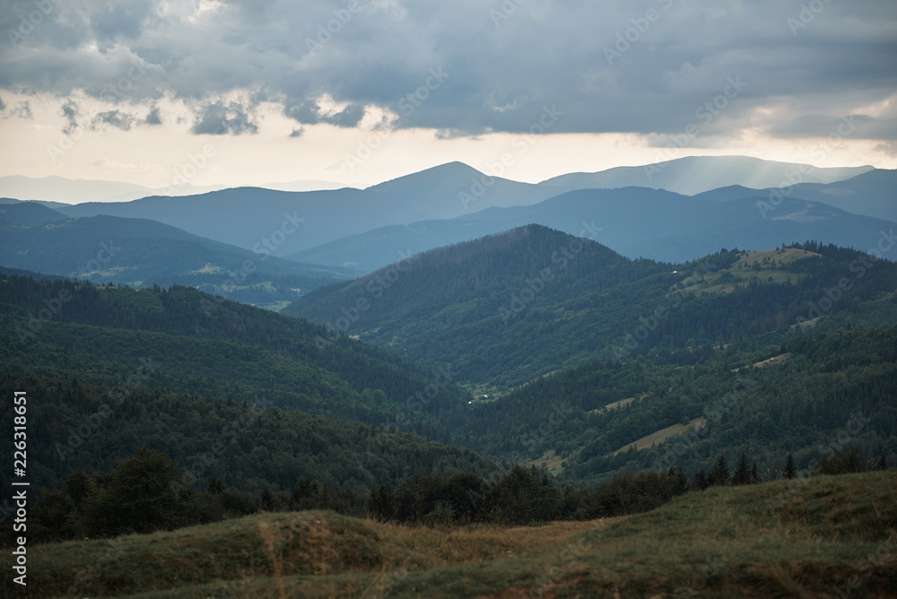 Beautiful landscape of Carpathian mountains with green vegetation and overcast sky