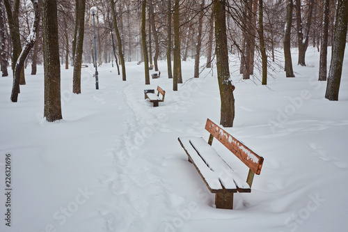 Wallpaper Mural Benches in the winter city park. Filled up with snow. Torontodigital.ca