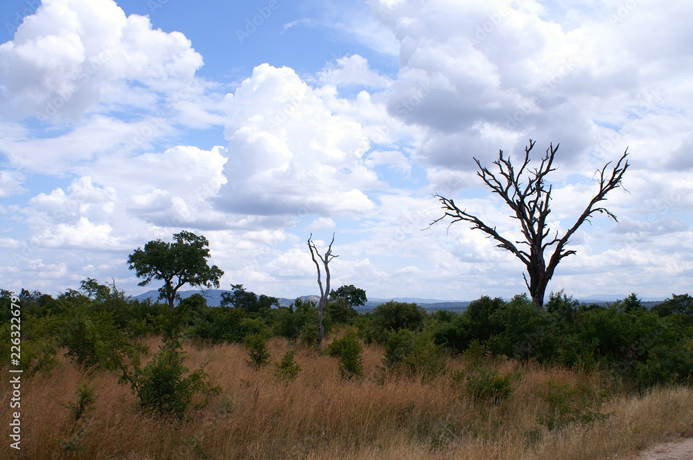 Obraz premium landscape