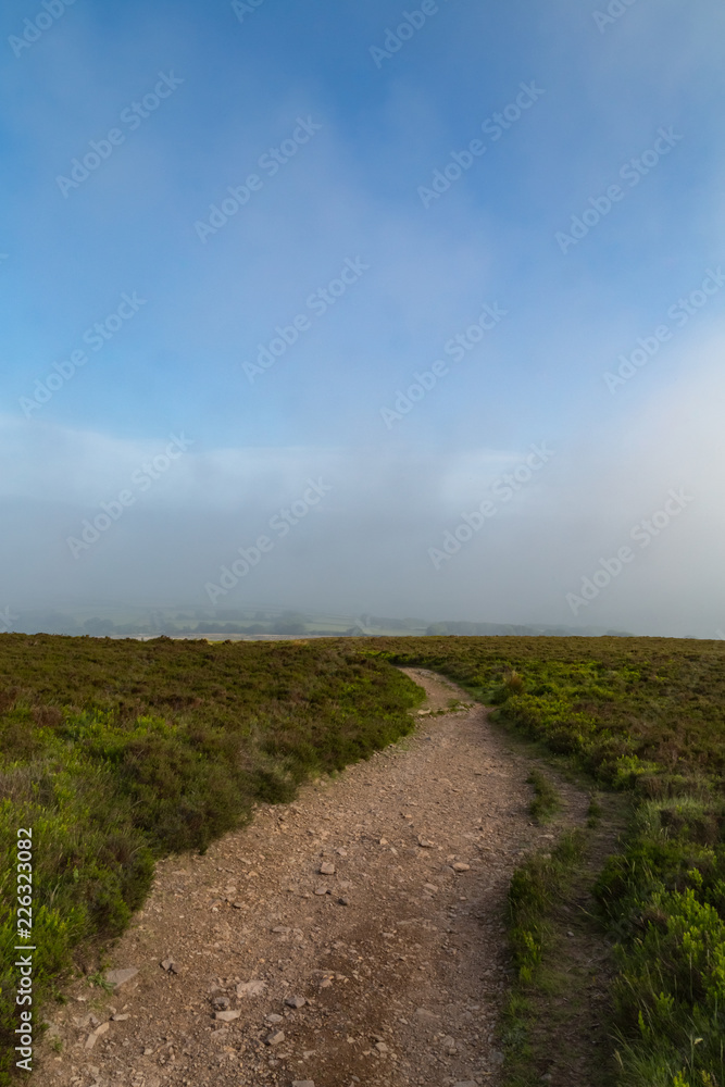 Exmoor heathland