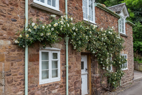roses on british historic stone house