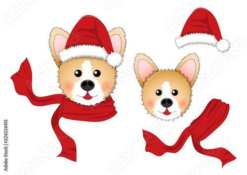 Corgi Santa Claus, Santa Hat, Red Scarf isolated on White Background.