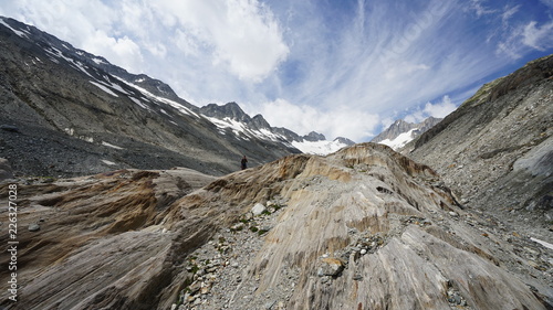 Oberaarsee, Grimsel, Oberaargletscher, Alpine Flora photo