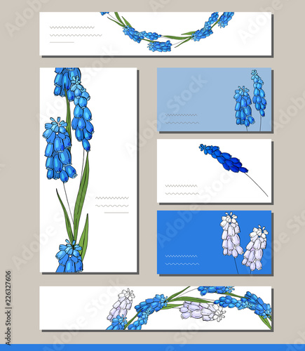 Muscari set with visitcards and greeting templates photo