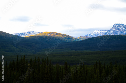 秋のカナディアンロッキー バンフ国立公園の黄葉の山並み（カナダ・アルバータ州）