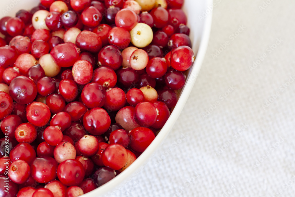 Cranberries in a bowl Cranberries in a bowl