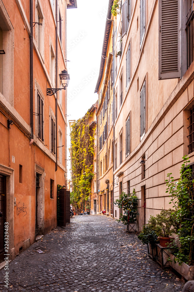 Narrow street in the central part of Rome with yellow leaves on the building