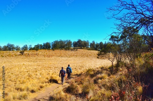 Two men walking on the path in the middle of savanna in Mount Lawu, Central Java, Indonesia © Yunita