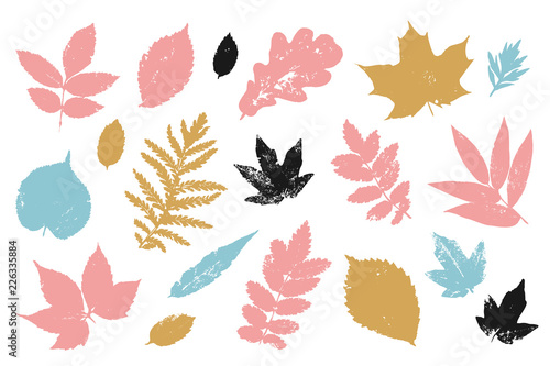 Hand drawn colorful leaves elements set. Autumn leaf shape background.