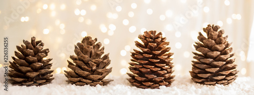 Merry christmas and happy new year greeting card with copy-space.fir cones on white snow. Winter background. Panorama