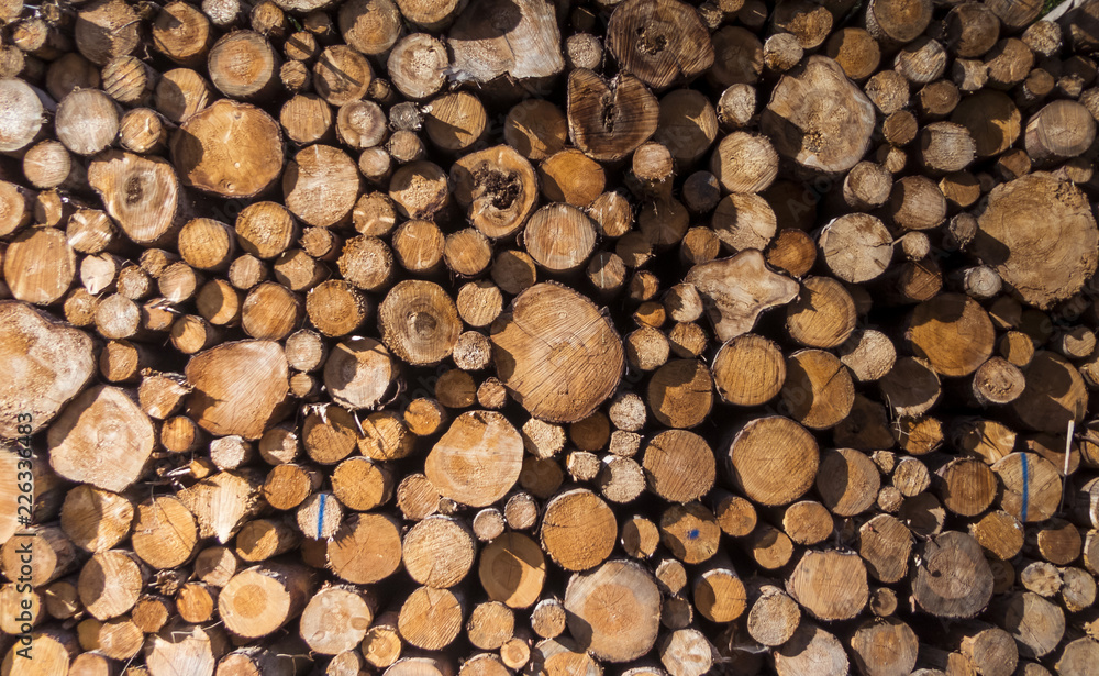 Fototapeta premium Aufgestapeltes Holz