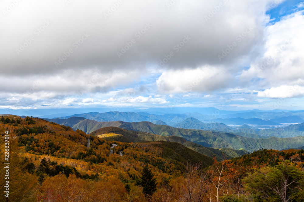  戦場ヶ原　長野　山梨　北海道　美瑛　高山　新潟　美しい　日本　男女　徒歩