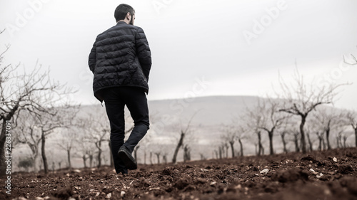 man walking in a field of dry trees photo