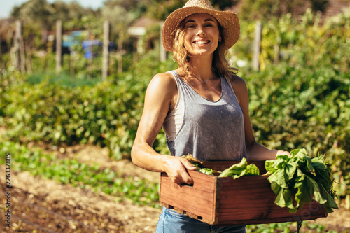 Carta da parati Woman harvesting fresh vegetables from her farm