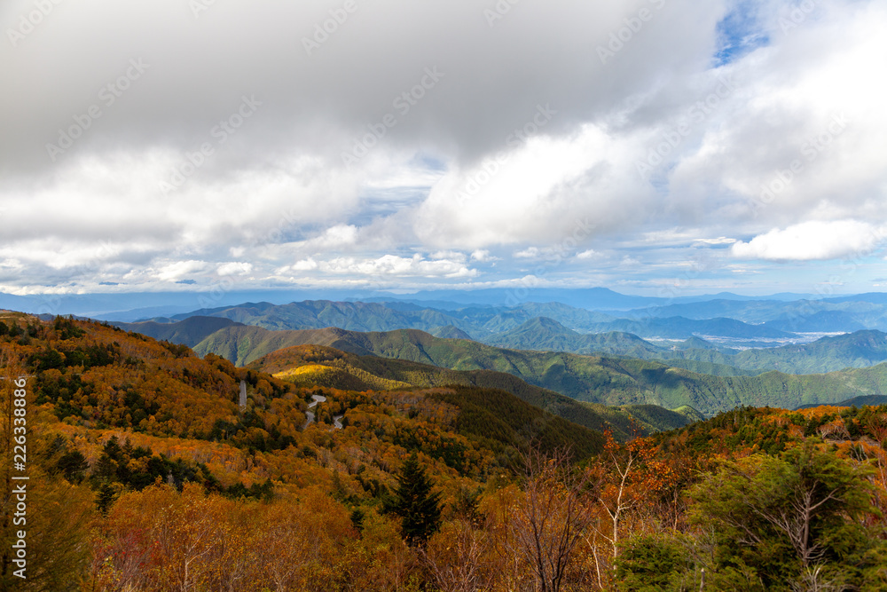 戦場ヶ原　長野　山梨　北海道　美瑛　高山　新潟　美しい　日本　男女　徒歩　