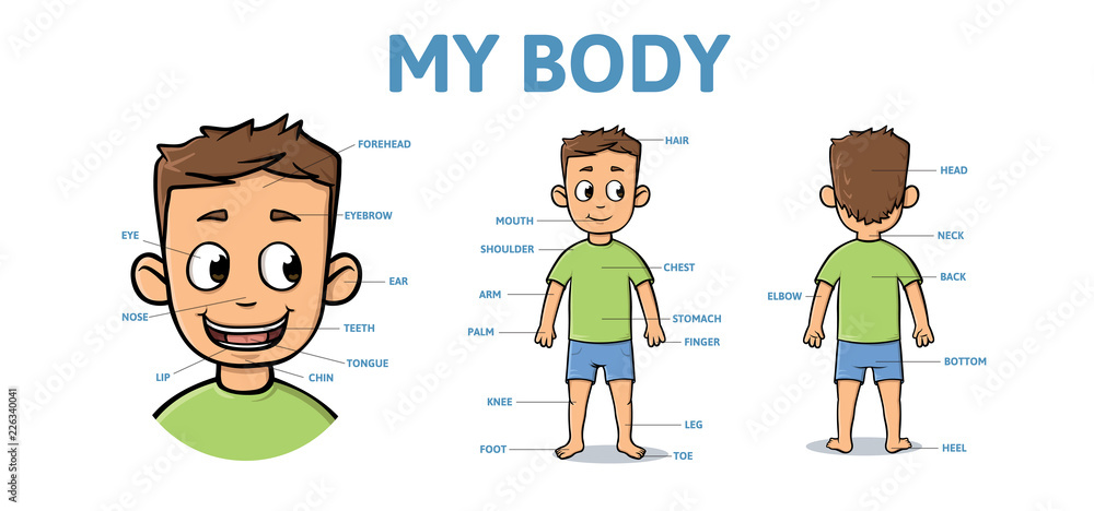 Body Of A Boy Clipart Series
