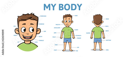 Vocabulary for parts of male body. Cartoon boy body with description. Colorful flat vector illustration, horizontal.