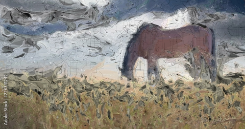 Stallion Horse