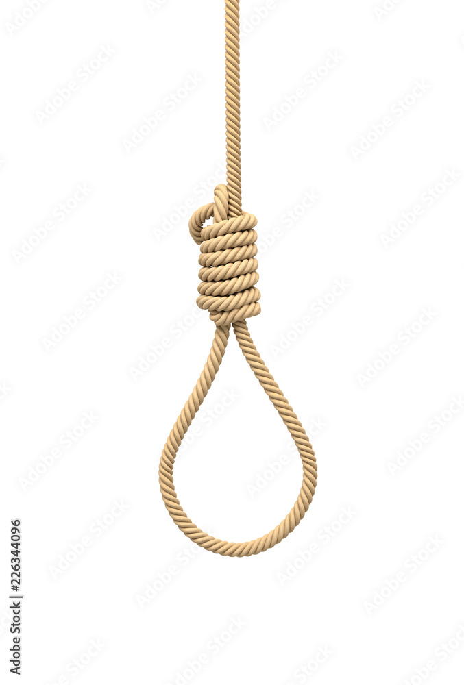 3d rendering of a hangman's noose made of natural beige rope hanging on a white background. 3d rendering of a hangman's noose made of natural beige rope hanging on a white background.