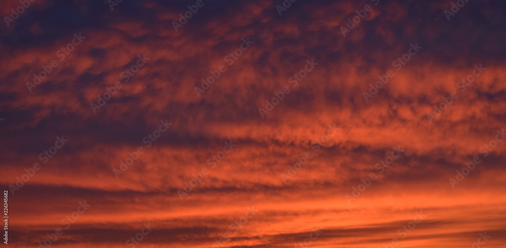 Fototapeta premium Dramatic sunset sky with orange colored clouds.