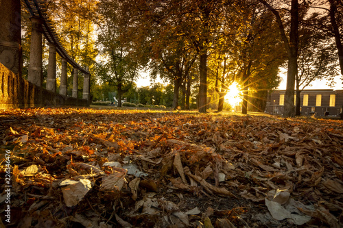 Wallpaper Mural Herbst im Stadtpark Magdeburg  Torontodigital.ca